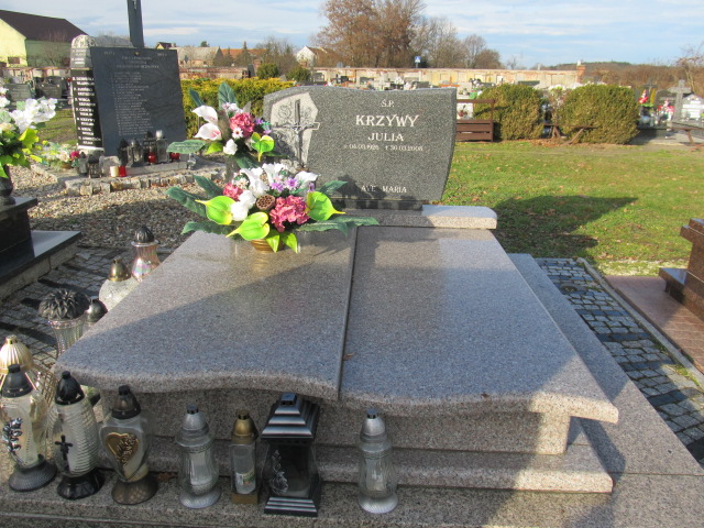 Grób Julia Krzywa